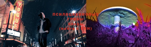 герыч Великий Новгород