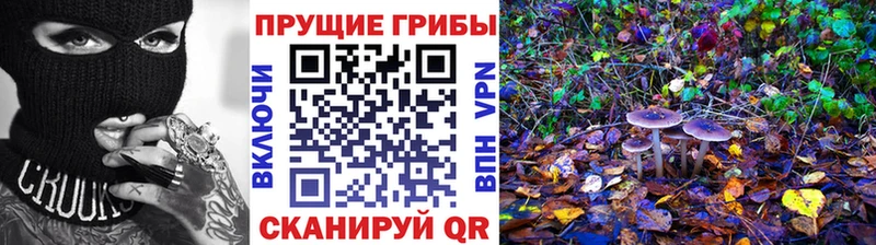 Галлюциногенные грибы Psilocybine cubensis  Купить  Ялта 